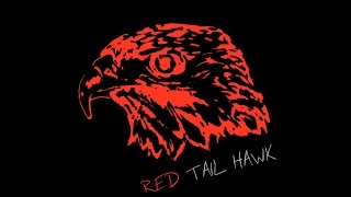 Red Tail Hawk Live on WERS 88.9 Emerson College Radio 15 October 2016