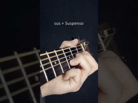 Suspensión... - Diezell