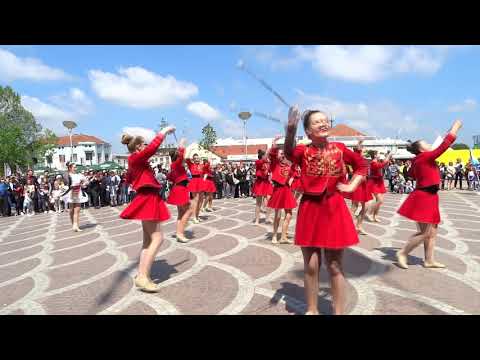 Sinjske mažoretkinje - Alkaruše u Vukovaru