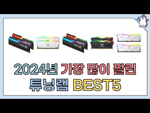 인기 튜닝램 추천 TOP5 (2024년 하반기)