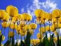 Lenka - 'Anything I'm Not' Lyrics