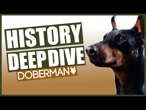 The History of the DOBERMAN