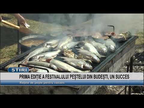 PRIMA EDITIE A FESTIVALULUI PESTELUI DIN BUDESTI, UN SUCCES