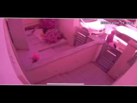 Il momento del furto delle mescherine