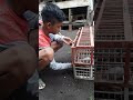 Nakula Sadewa Lapak Pedasong