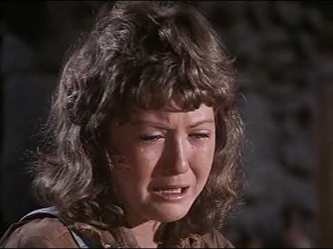 Bonanza (1959) | S12E14 | For a Young Lady