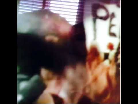 Nicolas Jaar - OUR WORLD