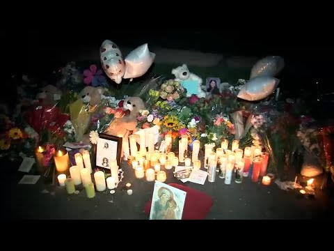 Μόλις 17 χρονών ο stalker που σκότωσε την Ελληνίδα και μια φίλη της στο Νιού Τζέρσεϊ-Τον έβλεπαν έξω από το σπίτι της
