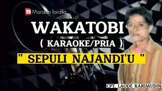 Download lagu KARAOKE WAKATOBI - SEPULI NAJANDI'U - NADA PRIA - Cpt. Laode Karimudin mp3