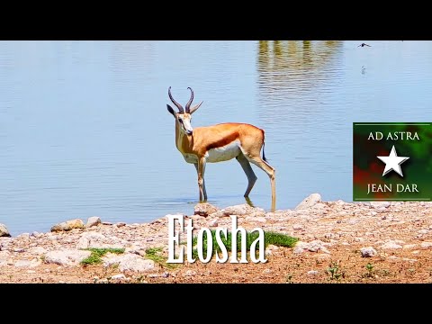 Etosha National Park, Namibia 14-15 January 2025 | One of Africa's best national parks!