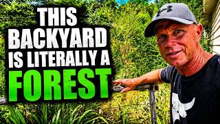 Top Notch Lawn Care: Why I Switched From Perfect Lawns to Overgrown Nightmares
