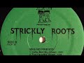 Strickly Roots Beg No Friends Valley Mob Mix Street