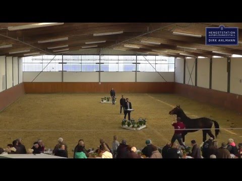 Dirk Ahlmann - C-Hardwell - Hengstpräsentation 2016