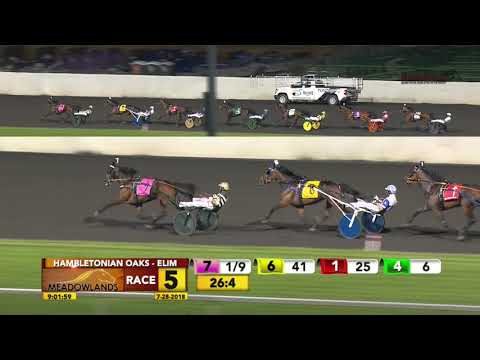 Hambletonian Oaks Elim 1 Race 5 - July 28, 2018