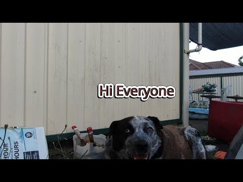 Mavic 2 Zoom drone and battery swelling and cracked & Update on moving House.