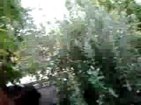 Pool Party Roma 2008