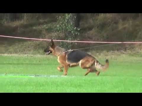 Bardowick 14.08.2016.GHKLH . Party 2