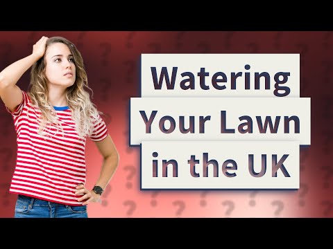 英国の夏の場合、どのくらいの頻度で芝生に水をまくべきですか?