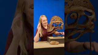 Did you know “Oviraptor” means “egg thief”?
