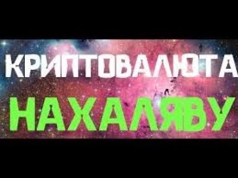 Супер проект! Вывод монет на биржу!