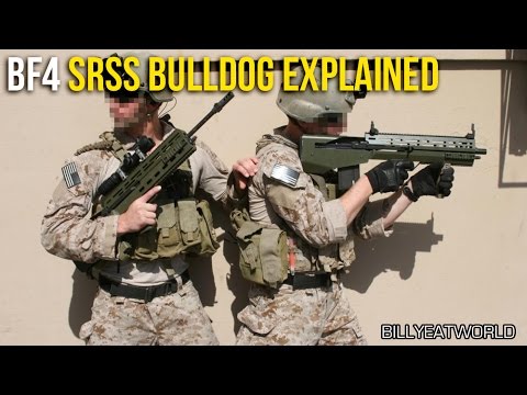 Battlefield 4 (PS4) - SRSS Bulldog Explained - Not Your Average Assault Rifle (BF4 M39 EMR Gameplay)