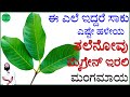 ಮೈಗ್ರೇನ್ ತಲೆನೋವಿಗೆ ಮನೆಮದ್ದು | Tale Novu Mane Maddu in Kannada | Tale N