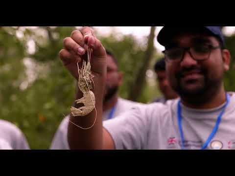Mangrove Conservation & Restoration in Bangladesh