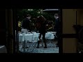 Pedro Pascal S Ten Second Scene In The Adjustment Bureau 2011