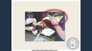 Wound Management of severe body and limb wounds