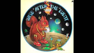 Anthony Phillips - Wise After The Event (Slowed)