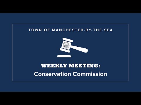 Meeting thumbnail