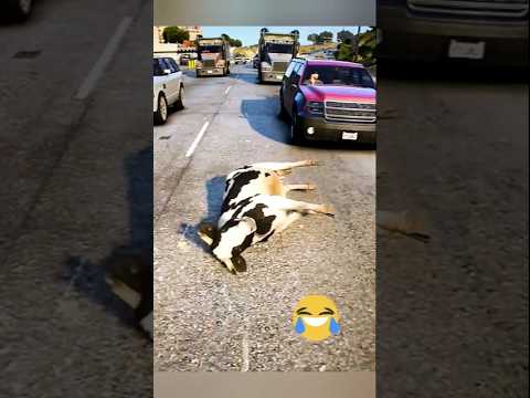 COW 🐮 Shorts 😭 La Vaca Lola Luli Pampin #cow #cowvideos #cover #viralvideo #lavacalola #2025 #vaca