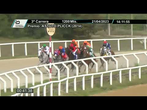 230421 c03 - GREAT MR - HIPODROMO LAS PIEDRAS