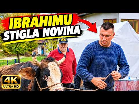IBRAHIMU STIGLA NOVINA NA IMANJE!  OVO NIJE OČEKIVAO!