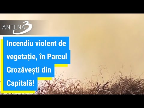 Incendiu violent de vegetație,  în Parcul Grozăvești din Capitală! A fost transmis un mesaj Ro-Alert