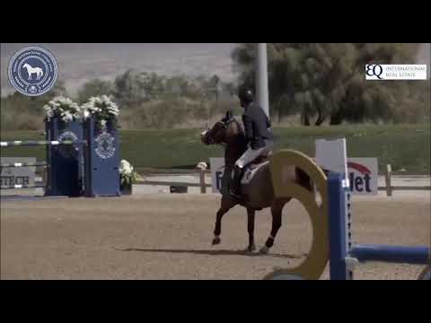 Cornet met Cassio Rivetti - 3* 1.45 class Desert Circuit