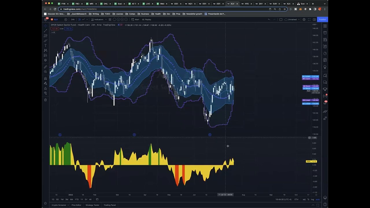 10 (Bonus) - Earnings Strategy In Bear Market