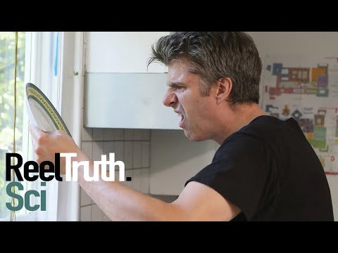 Going Deep with David Rees - How to Wash Dishes | How To Show | Reel Truth. Science