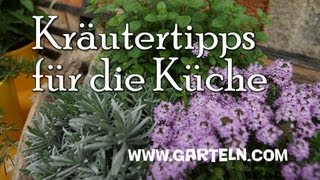 preview picture of video 'Kräutertipps für die Küche'