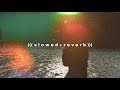 Elaine You Re The One Slowed Reverb