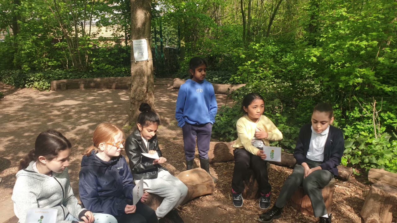 Year 4 Forest School