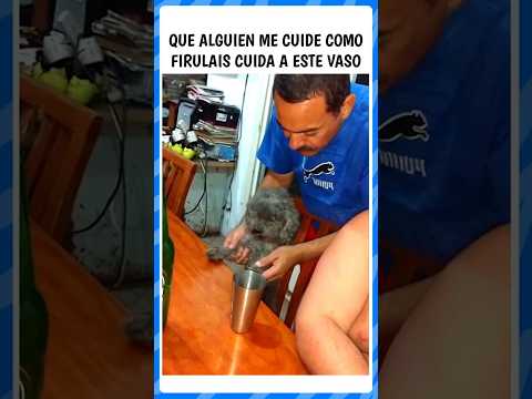 Que alguien me cuide así #estoesargentina #cheboludo #argentina