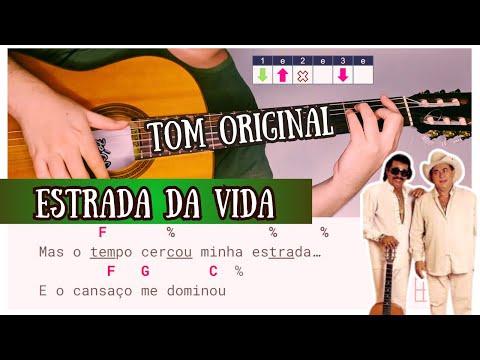 Estrada - José Marques