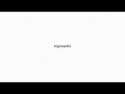 Argyraspides PRONUNCIATION