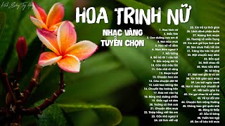 Download lagu 50 Bài Nhạc Vàng Tuyển Chọn - Hoa Trinh Nữ, Biển Tình - Nghe 10000 Lần Không THấy Chán mp3