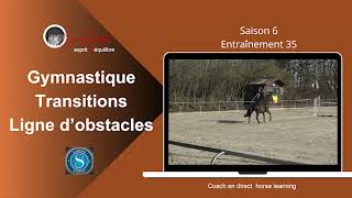 Gymnastique Transitions Ligne d obstacles ‪@coachendirecthorselearning‬