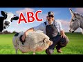 Discovering an Animal Alphabet Down on the Farm! (Fun Educational Video for Kids)