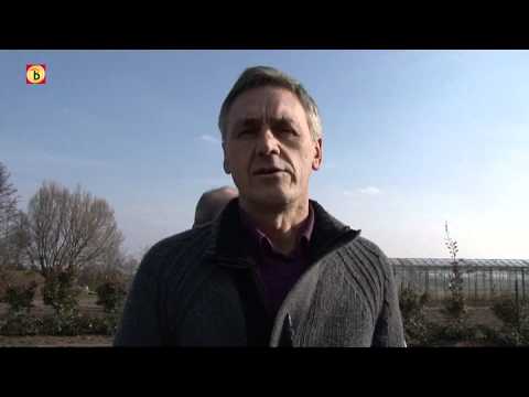 Mysterieus Maria-labyrint in Wernhout