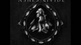 The Stone by ASHES dIVIDE