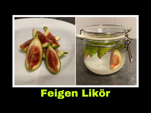 Feigenlikör Rezept | Likör mit Feigen ansetzen | Selbstversorgung: Feige